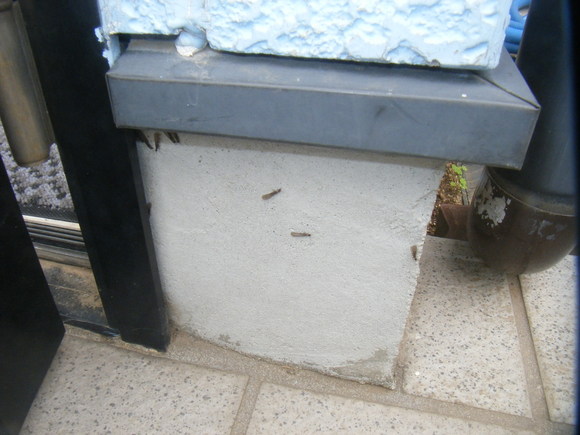 DSCF8827.jpg